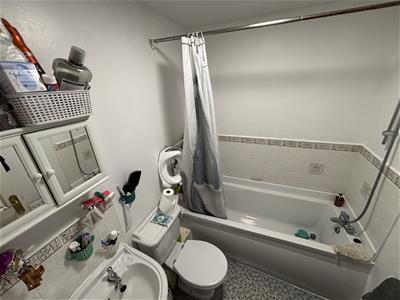 Picture 7